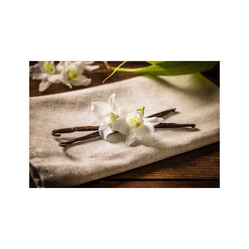 Wild vanilla from Guyana in France - 2 pods