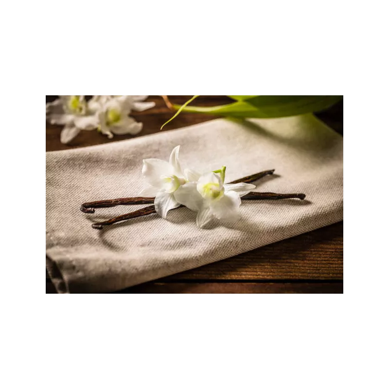 Wild vanilla from Guyana in France - 2 pods
