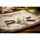 Wild vanilla from Guyana in France - 2 pods