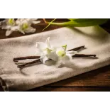 Wild vanilla from Guyana in France - 2 pods