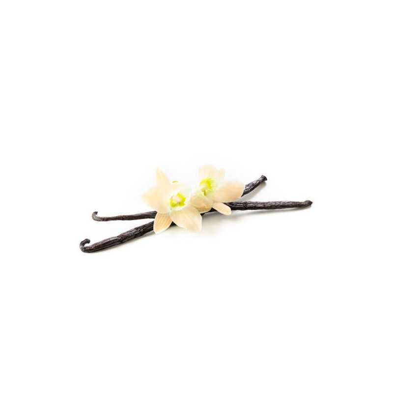 Wild vanilla from Guyana in France - 2 pods