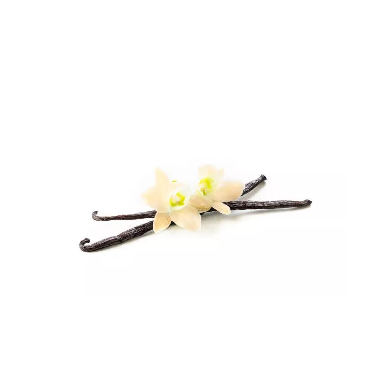 Wild vanilla from Guyana in France - 2 pods
