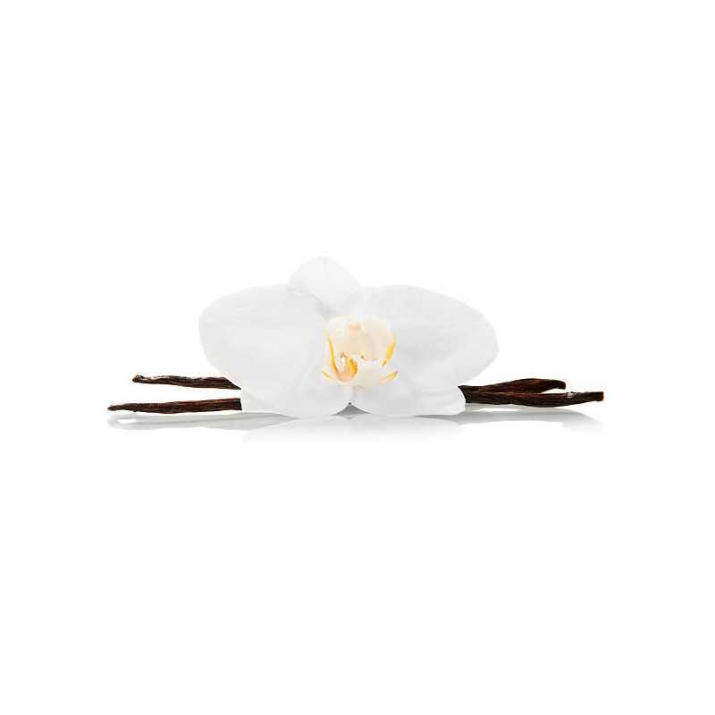 Wild vanilla from Guyana in France - 2 pods