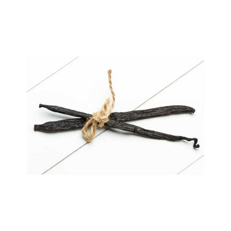 Wild vanilla from Guyana in France - 2 pods