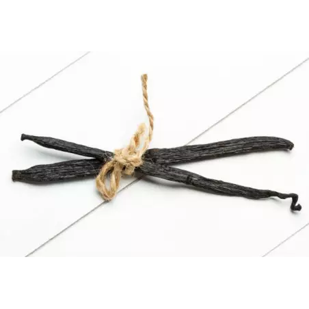 Wild vanilla from Guyana in France - 2 pods