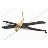 Wild vanilla from Guyana in France - 2 pods