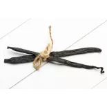 Wild vanilla from Guyana in France - 2 pods