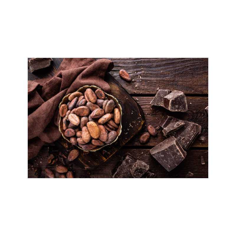 Organic Raw Criollo Cocoa Beans from Peru Premium