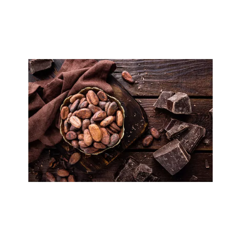 Organic Raw Criollo Cocoa Beans from Peru Premium