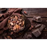 Organic Raw Criollo Cocoa Beans from Peru Premium