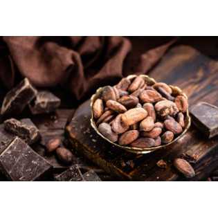Organic Raw Criollo Cocoa Beans from Peru Premium