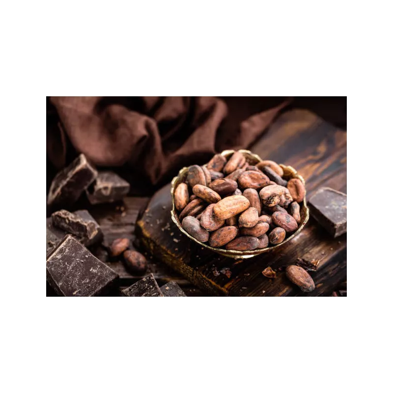 Fèves de cacao Criollo crues bio du Pérou premium Fèves de cacao Criollo crues bio du Pérou premium