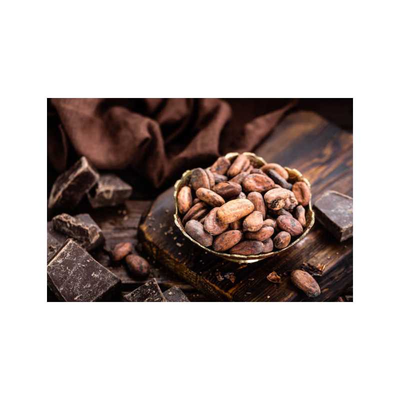 Organic Raw Criollo Cocoa Beans from Peru Premium