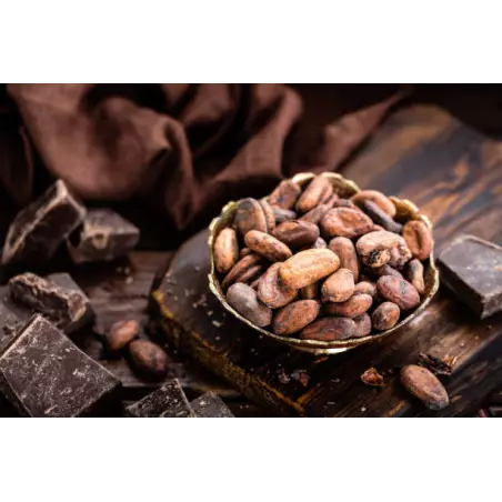 Fèves de cacao Criollo crues bio du Pérou premium