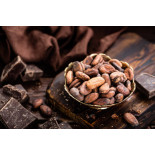 Organic Raw Criollo Cocoa Beans from Peru Premium