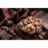 Organic Raw Criollo Cocoa Beans from Peru Premium