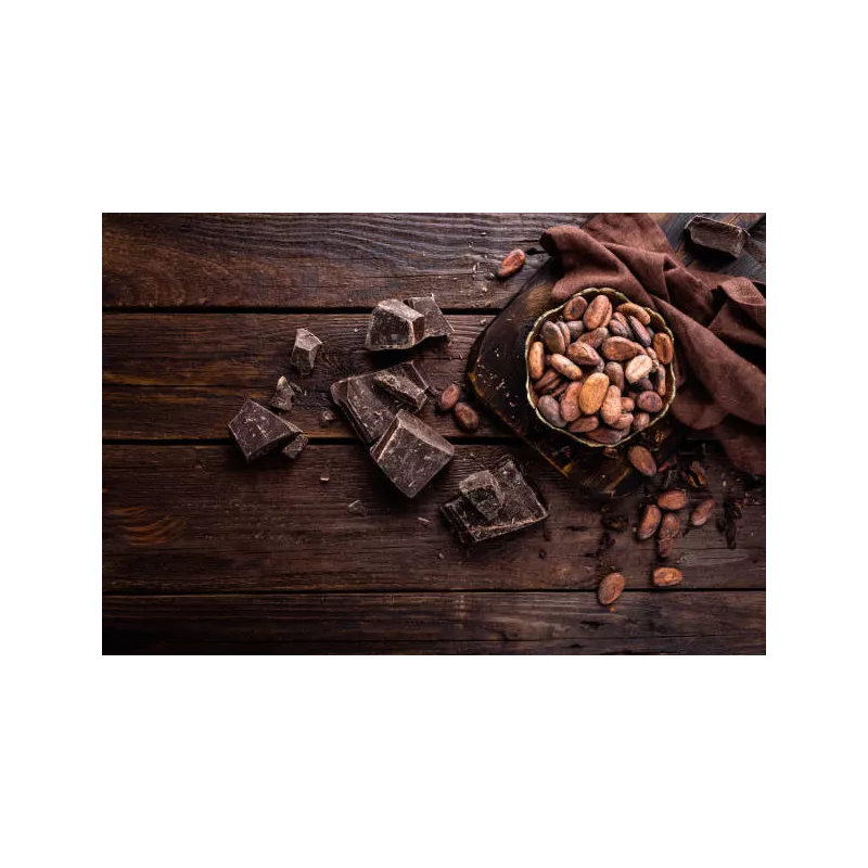 Organic Raw Criollo Cocoa Beans from Peru Premium