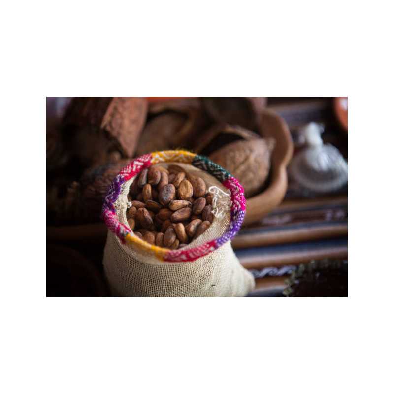 Organic Raw Criollo Cocoa Beans from Peru Premium