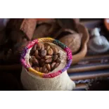 Organic Raw Criollo Cocoa Beans from Peru Premium