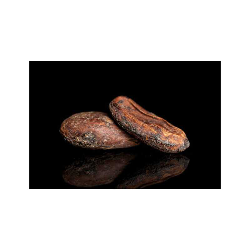 Fèves de cacao Criollo crues bio du Pérou premium