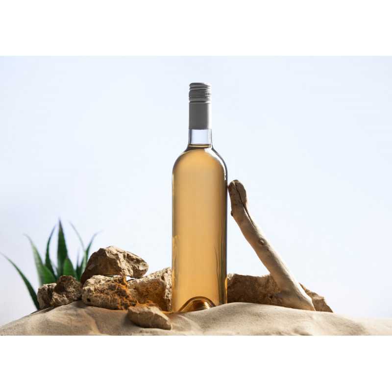 Organic prickly pear vinegar made in France - Direct producer
