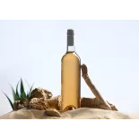 Organic prickly pear vinegar made in France - Direct producer