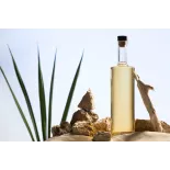 Organic prickly pear vinegar made in France - Direct producer