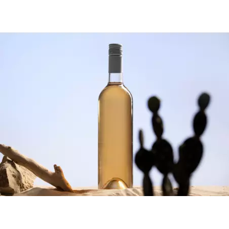 Organic prickly pear vinegar made in France - Direct producer