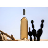 Organic prickly pear vinegar made in France - Direct producer
