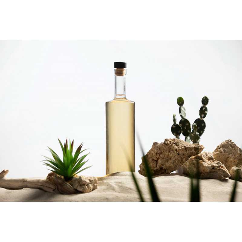 Organic prickly pear vinegar made in France - Direct producer