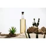 Organic prickly pear vinegar made in France - Direct producer