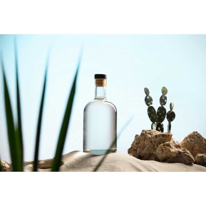 Organic prickly pear vinegar made in France - Direct producer