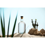 Organic prickly pear vinegar made in France - Direct producer