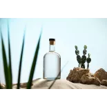 Organic prickly pear vinegar made in France - Direct producer
