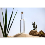 Organic prickly pear vinegar made in France - Direct producer