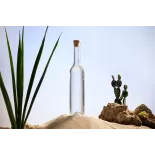 Organic prickly pear vinegar made in France - Direct producer
