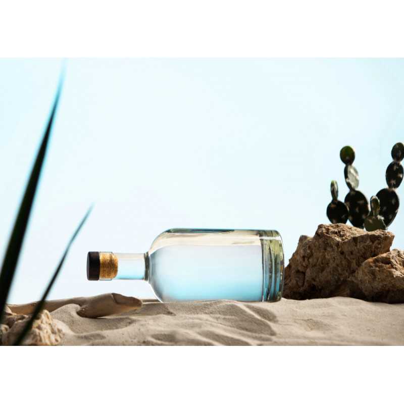 Organic prickly pear vinegar made in France - Direct producer
