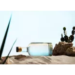 Organic prickly pear vinegar made in France - Direct producer