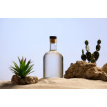 Organic prickly pear vinegar made in France - Direct producer