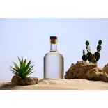 Organic prickly pear vinegar made in France - Direct producer