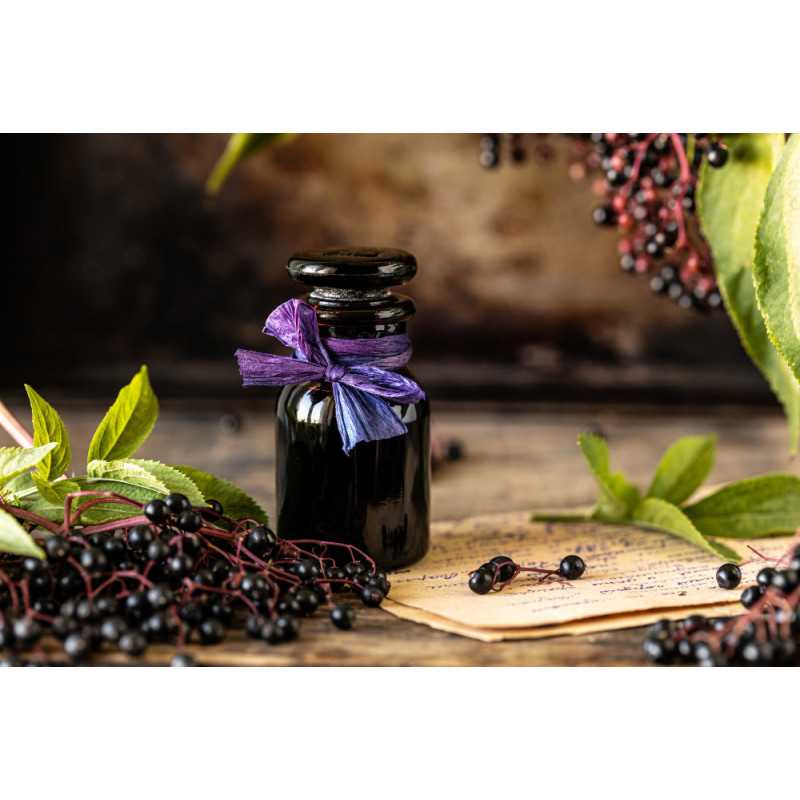 Organic blackcurrant vinegar made in France - Direct producer