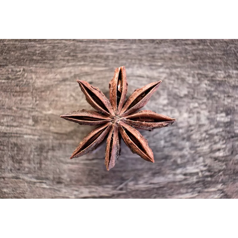 Organic & fairtrade whole star anise from Kampot - Direct producer