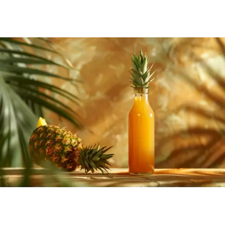 Organic pineapple vinegar Made in France - Direct producer