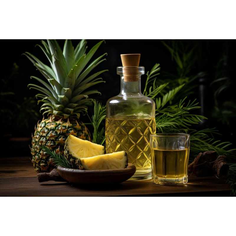 Organic pineapple vinegar Made in France - Direct producer