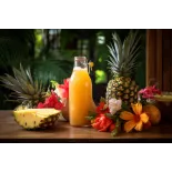 Vinaigre bio d'ananas Made in France - Direct producteur