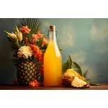 Vinaigre bio d'ananas Made in France - Direct producteur