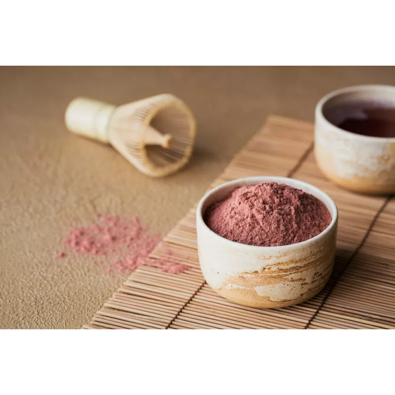 Organic Cranberry Powder from Canada