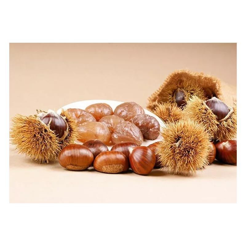8 Whole Natural Glazed Chestnuts from Provence