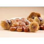 8 Whole Natural Glazed Chestnuts from Provence