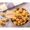 Organic & Fair Dried White Mulberries from Uzbekistan